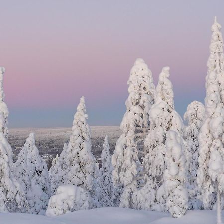 Northern Bliss Hideaway Rovaniemi Exterior photo